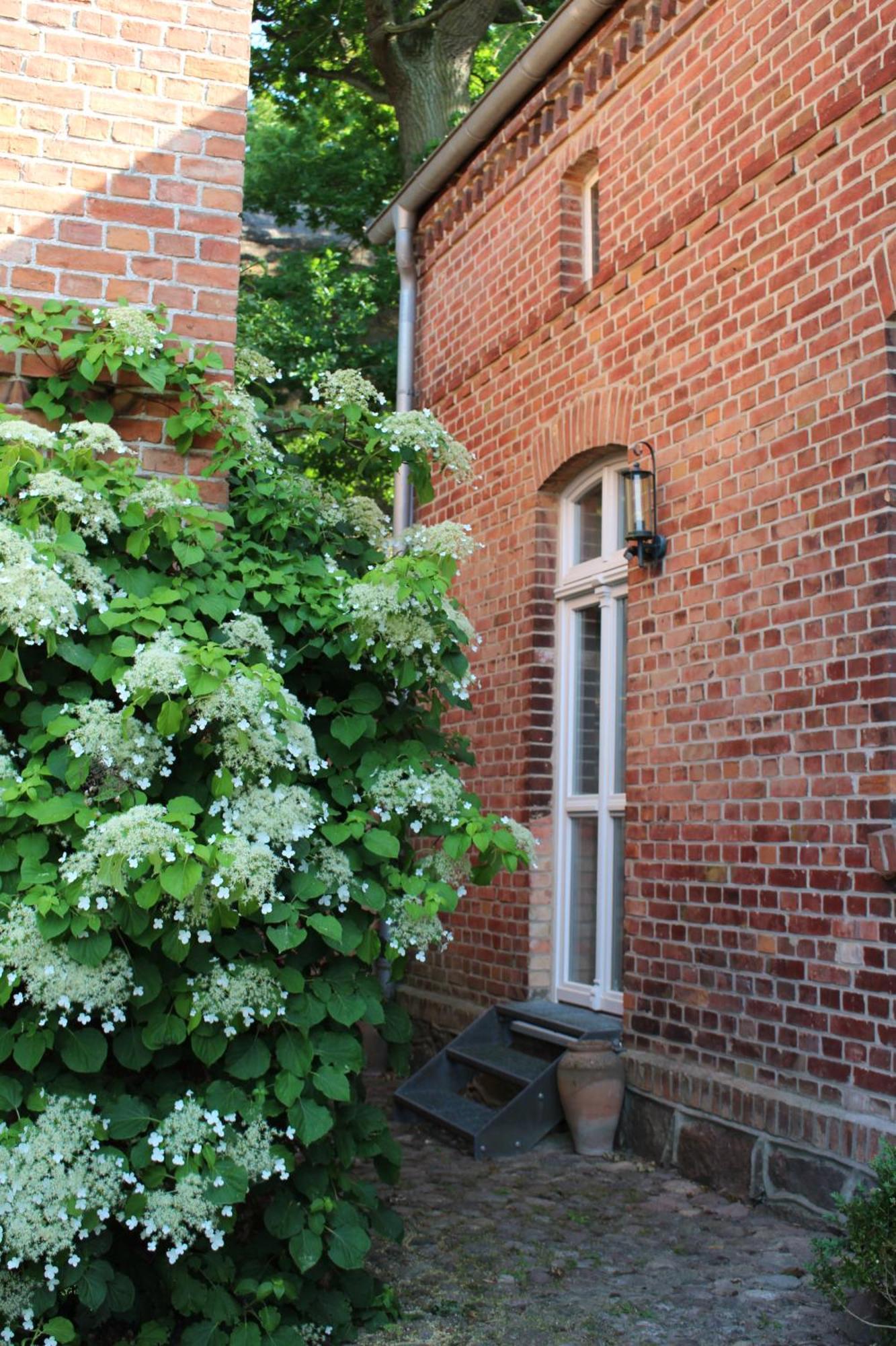 Ferienwohnung Buchholz Buchholz  Eksteriør bilde
